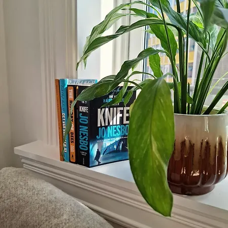 Appartement Bright And Charming From 1878 With View To The New National Museum In