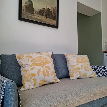 Apartment Bright And Charming From 1878 With View To The New National Museum In
