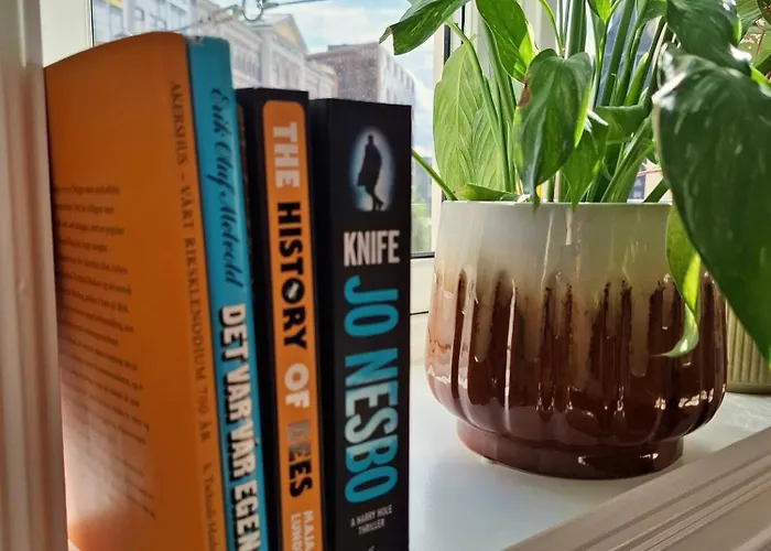 Lejlighed Bright And Charming From 1878 With View To The New National Museum In Oslo