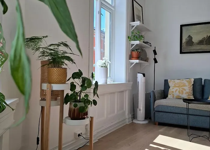 Bright And Charming From 1878 With View To The New National Museum In